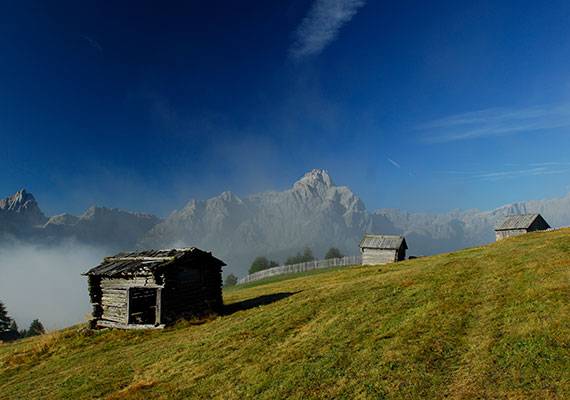 Stiergarten