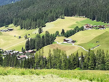 Coming back of our cattle from the alpine pasture - Sesto