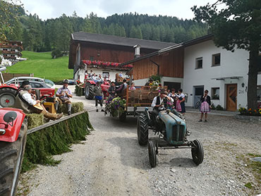 Coming back of our cattle from the alpine pasture - Sesto